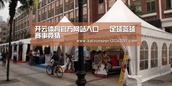 案例标题九