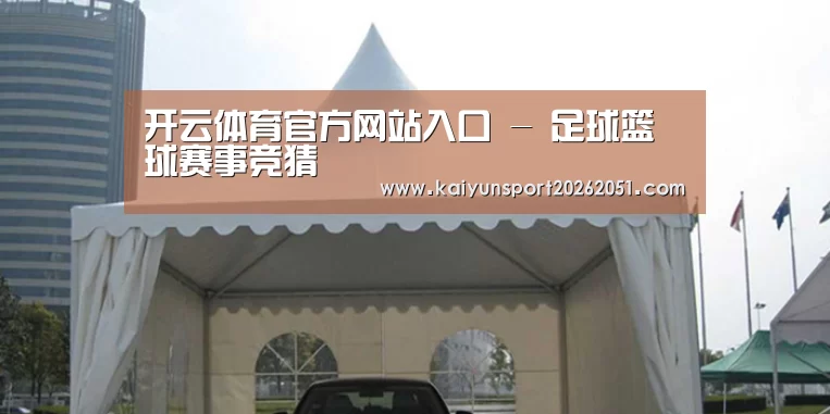 案例标题八