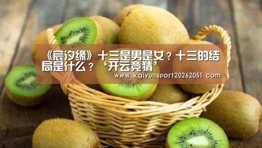 开云篮球