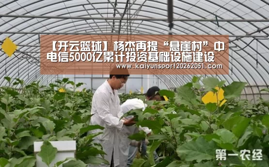 开云足球