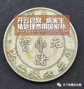 开云篮球