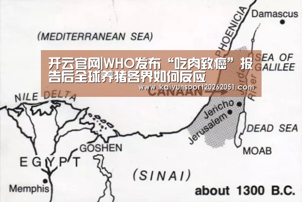 开云官网
