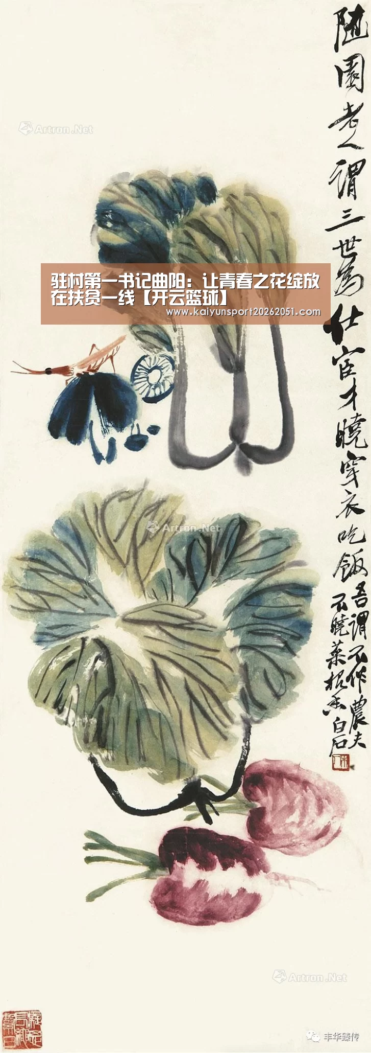 驻村第一书记曲阳:让青春之花绽放在扶贫一线【开云篮球】(图1) 开云竞猜
