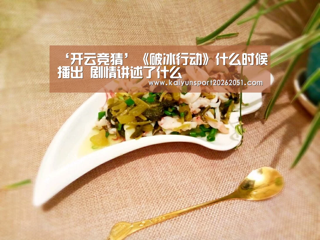 ‘开云竞猜’《破冰行动》什么时候播出 剧情讲述了什么(图2) 开云足球