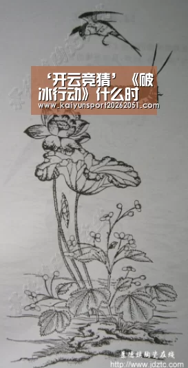 ‘开云竞猜’《破冰行动》什么时候播出 剧情讲述了什么(图4) 开云篮球