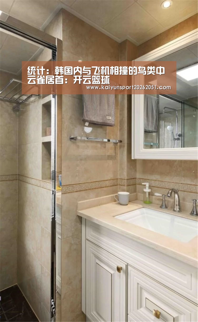 统计:韩国内与飞机相撞的鸟类中云雀居首:开云篮球(图2) 开云篮球