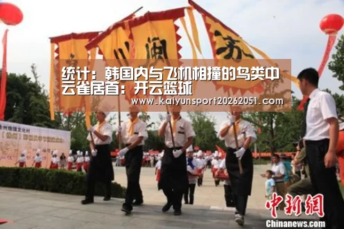 统计:韩国内与飞机相撞的鸟类中云雀居首:开云篮球(图1) 开云竞猜