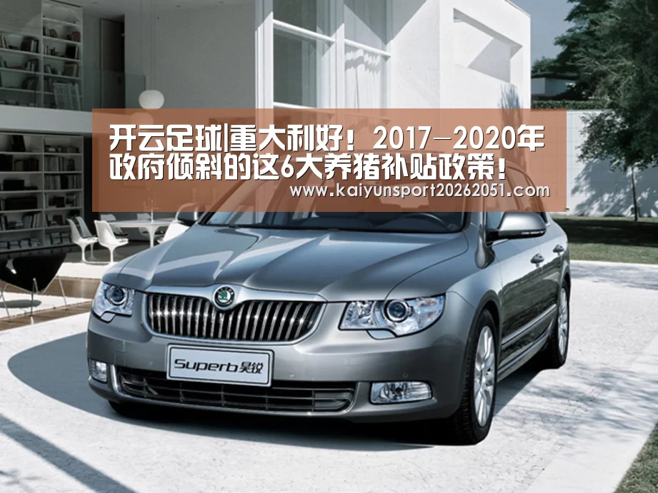 开云足球|重大利好!2017-2020年政府倾斜的这6大养猪补贴政策!(图1) 开云官网