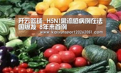 开云篮球-H5N1禽流感病例在法国爆发 8年来首例(图2) 开云竞猜