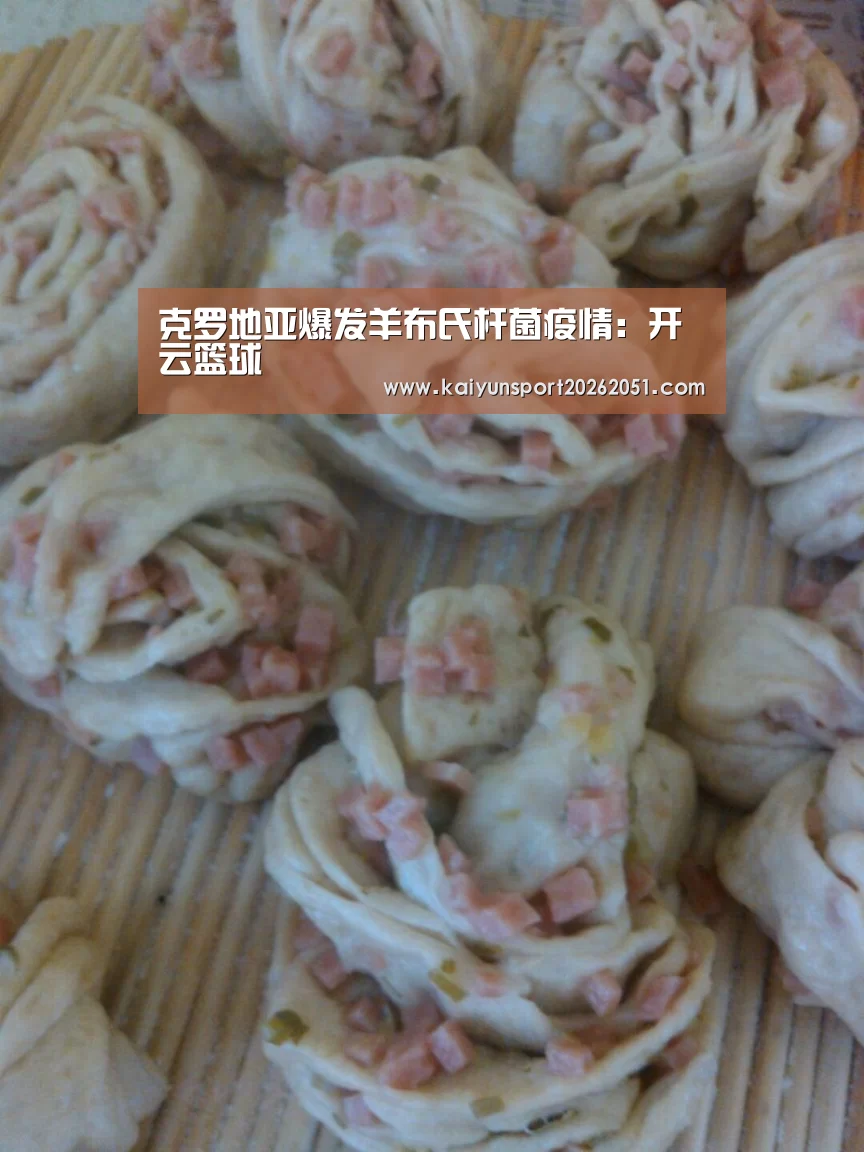 克罗地亚爆发羊布氏杆菌疫情:开云篮球(图1) 开云竞猜
